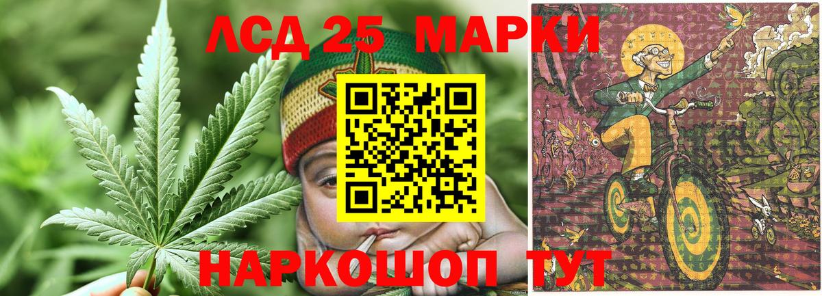 Codein Бердск