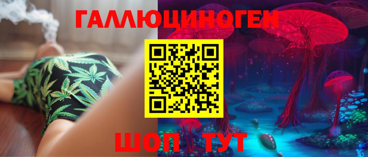 Псилоцибиновые грибы прущие грибы Бердск